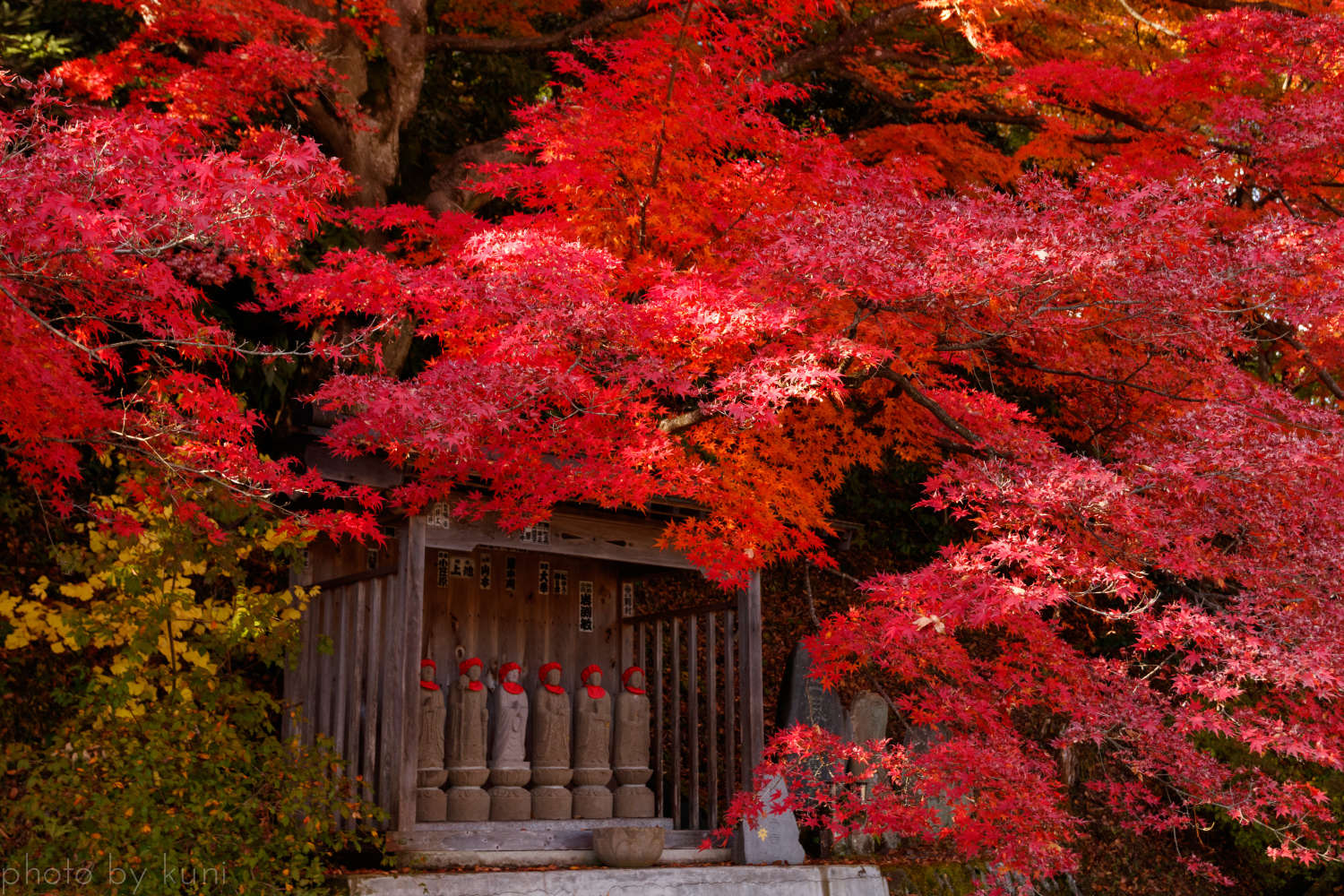 Тема осень в Японии